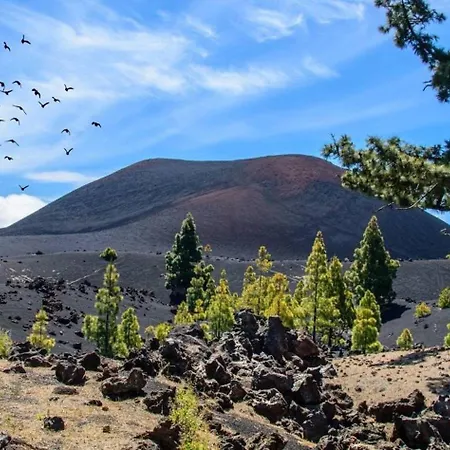 C San Jose De Llanos Lägenhet *